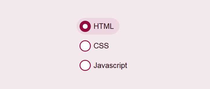 css3美化单选按钮点击选中动画特效 - 项目资源网 - 项目资源网