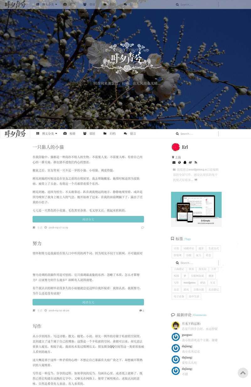 wordpress极简优秀的博客主题–ErlSimpleV1.5主题 - 项目资源网 - 项目资源网