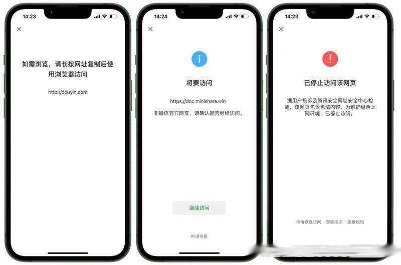 2023最新检测域名是否能在微信正常打开API源码 - 项目资源网 - 项目资源网