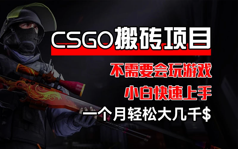 CSGO 装备搬砖项目，操作简单，不需要会玩游戏，小白也能快速上手，一个月轻松大几千 - 项目资源网 - 项目资源网