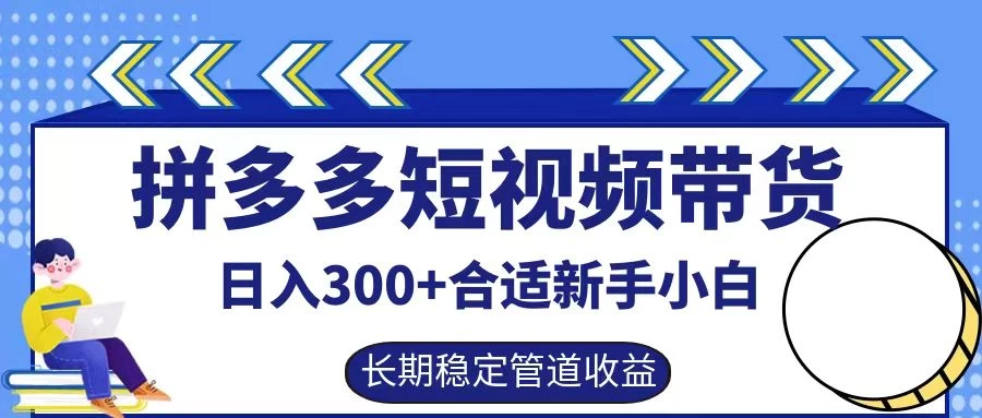拼多多短视频带货日入300+保姆级实操账户展示 - 项目资源网 - 项目资源网