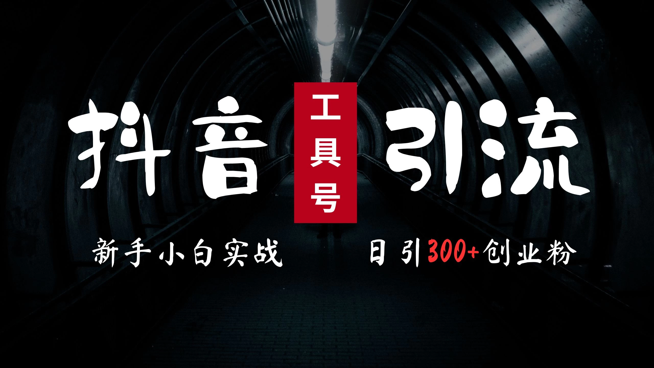 2024最新抖音工具号引流玩法，高效日引300+创业粉，当天变现5000+，小白也可成为实战高手 - 项目资源网 - 项目资源网
