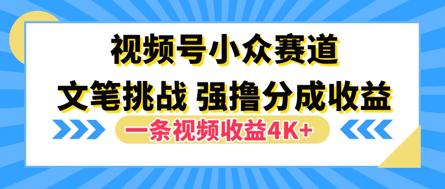 视频号小众赛道，文笔挑战，一条视频收益4K+ - 项目资源网 - 项目资源网