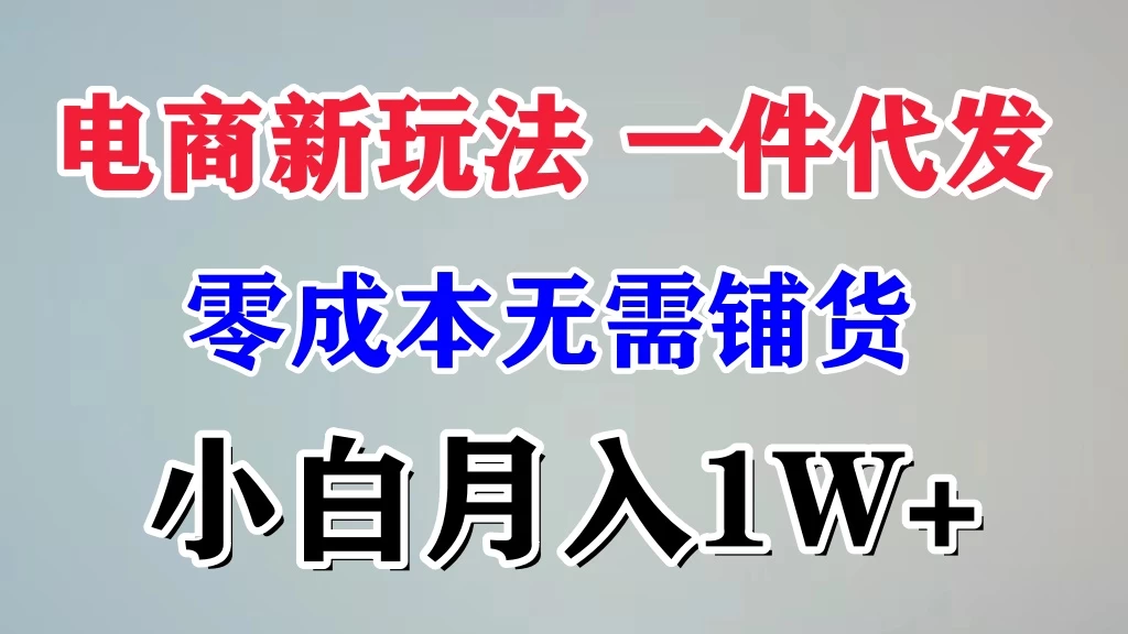 电商新玩法，一件代发，零成本无需铺货，小白月入1W+ - 项目资源网 - 项目资源网