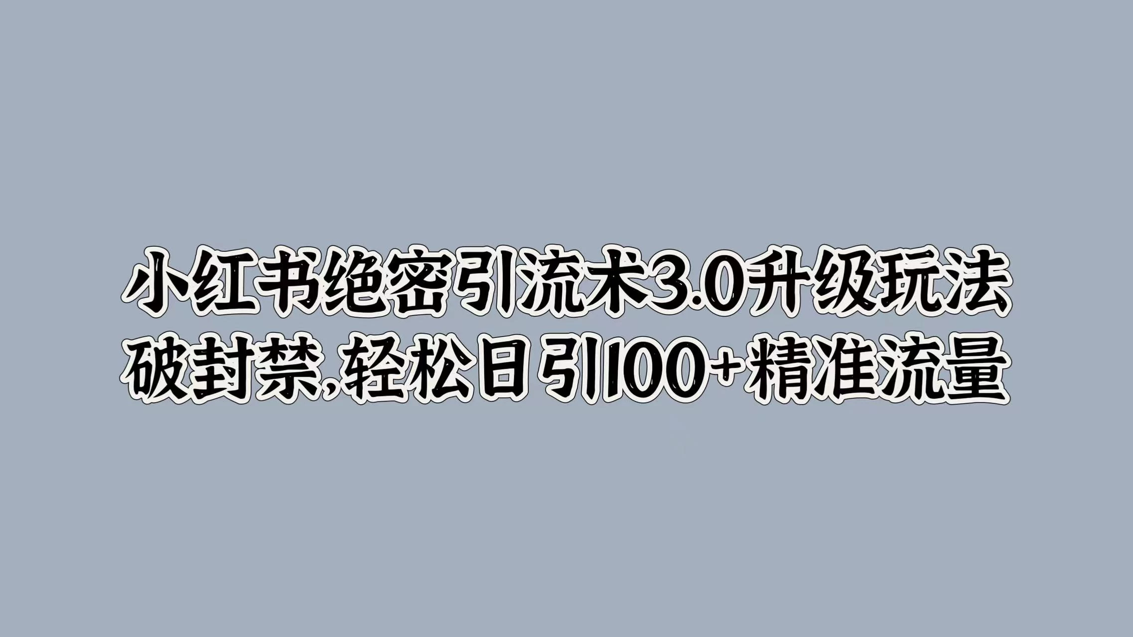 小红书绝密引流术3.0升级玩法，破封禁，轻松日引100+精准流量 - 项目资源网 - 项目资源网