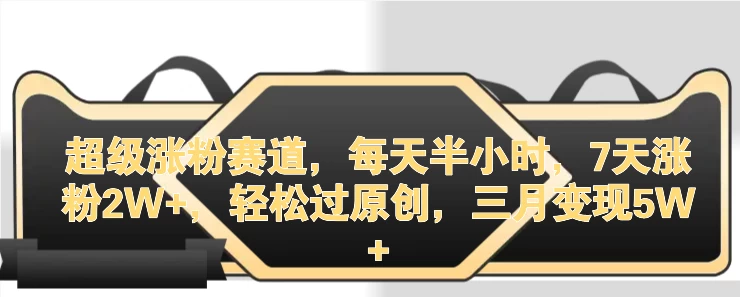 超级涨粉赛道，每天半小时，7天涨粉2W+，轻松过原创，三月变现5W+ - 项目资源网 - 项目资源网
