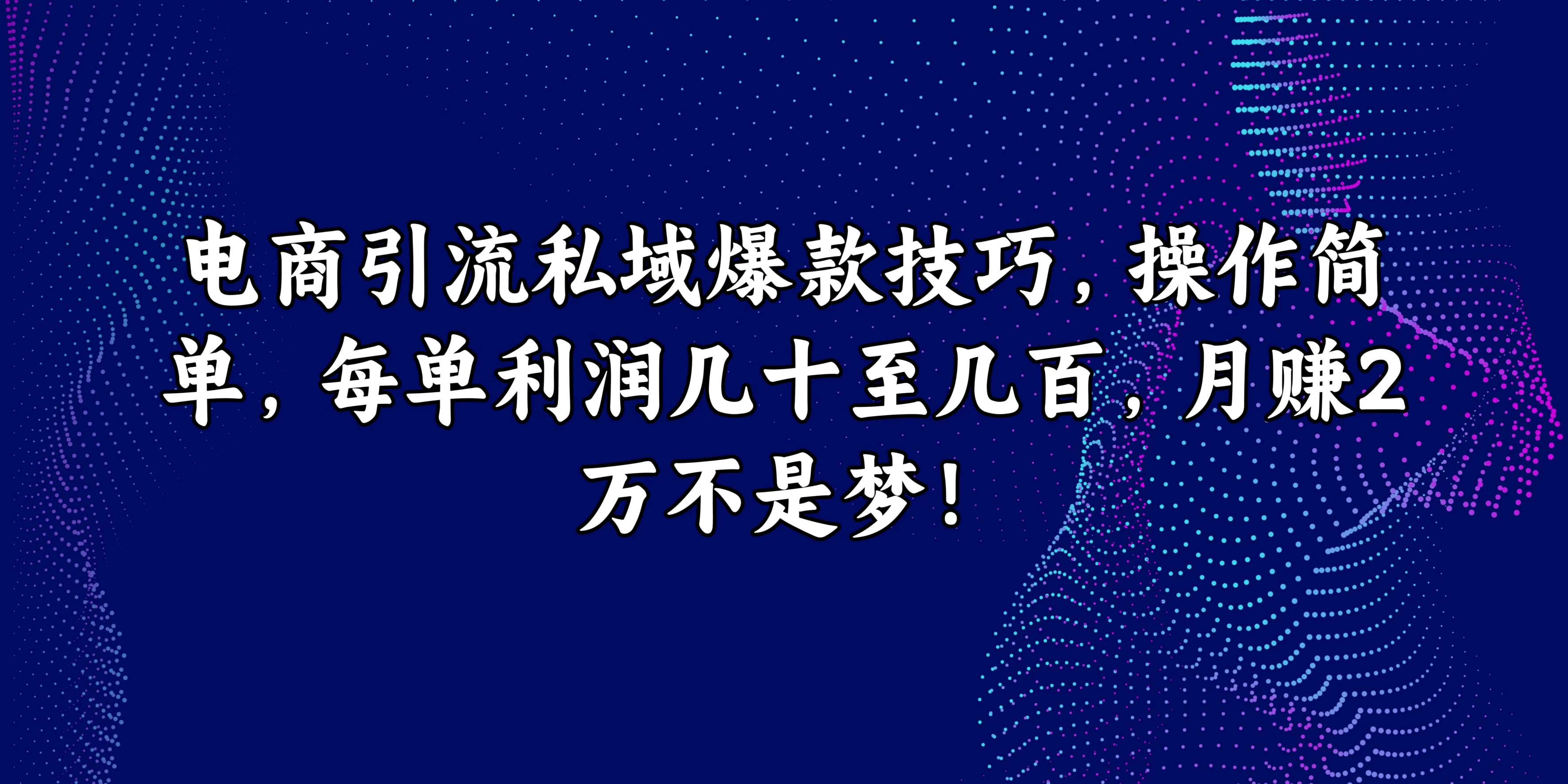 电商引流私域爆款技巧，操作简单，每单利润几十至几百，月赚2万不是梦！ - 项目资源网 - 项目资源网