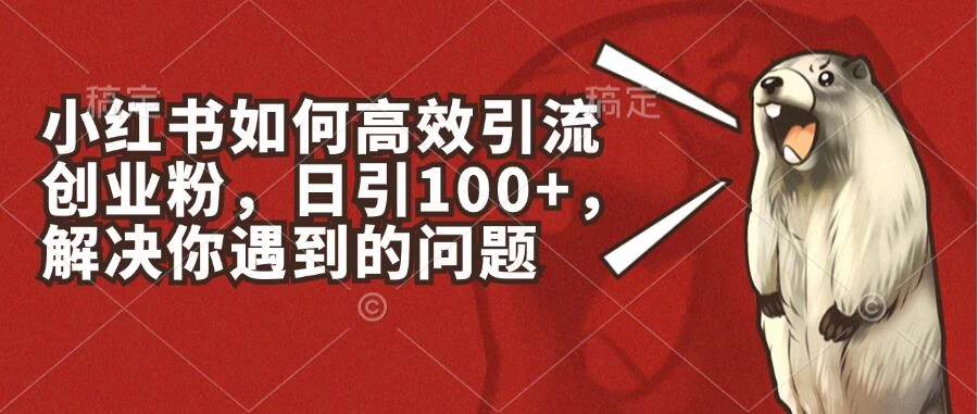 小红书如何高效引流创业粉，日引100+，解决你遇到的问题 - 项目资源网 - 项目资源网