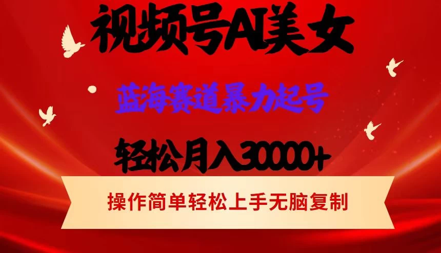 AI美女视频号掘金，操作简单，轻松上手，日入1000+ - 项目资源网 - 项目资源网