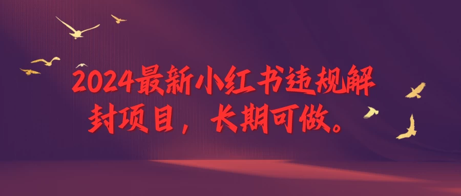 2024最新小红书违规解封项目，一个可以做到退休的项目 - 项目资源网 - 项目资源网