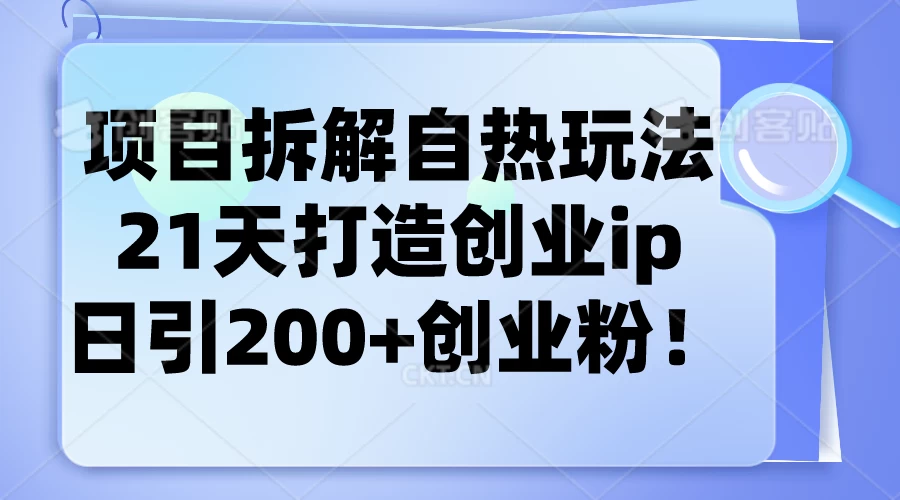 项目拆解自热玩法，21天打造创业IP，日引200+创业粉 - 项目资源网 - 项目资源网