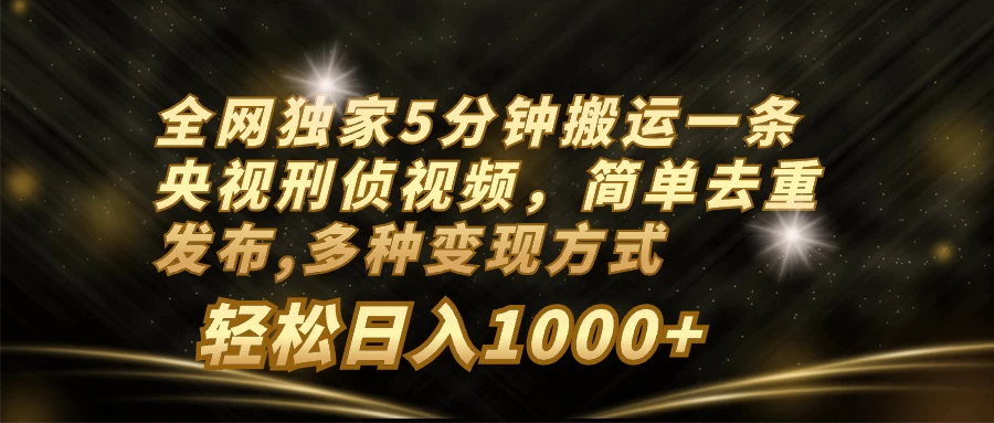 全网独家5分钟搬运一条央视刑侦视频，简单去重发布，多种变现方式，轻松日入1000+ - 项目资源网 - 项目资源网