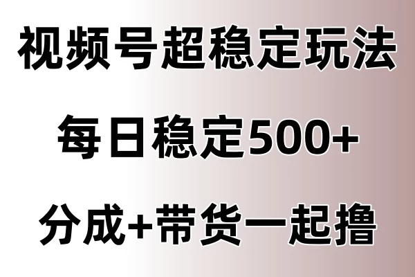 视频号超稳定赛道，长久不衰，单日稳定500+ - 项目资源网 - 项目资源网