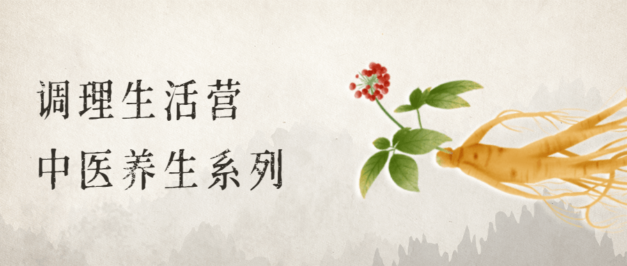 调理生活营：中医养生系列 - 项目资源网 - 项目资源网