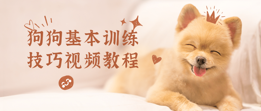 狗狗基本训练技巧视频教程 - 项目资源网 - 项目资源网
