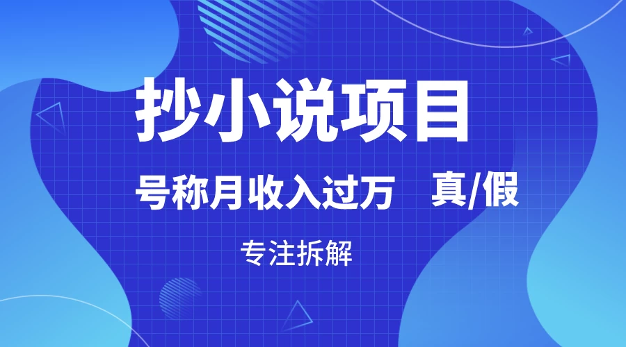 抄小说项目，号称月入过万，到底是否真实，能不能做，详细拆解 - 项目资源网 - 项目资源网