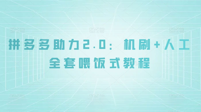 拼夕夕助力 2.0 新玩法：机刷+人工全套交付，喂饭式教程 - 项目资源网 - 项目资源网
