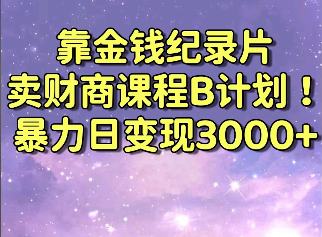 靠金钱纪录片卖财商课程，暴力日变现3000+，喂饭级干货教学！！ - 项目资源网 - 项目资源网