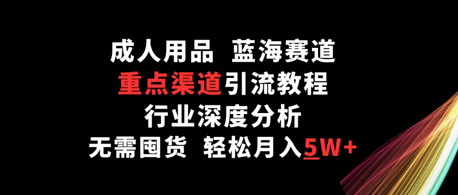 成人用品，蓝海赛道，重点渠道引流教程，行业深度分析，无需囤货，轻松月入5W+ - 项目资源网 - 项目资源网