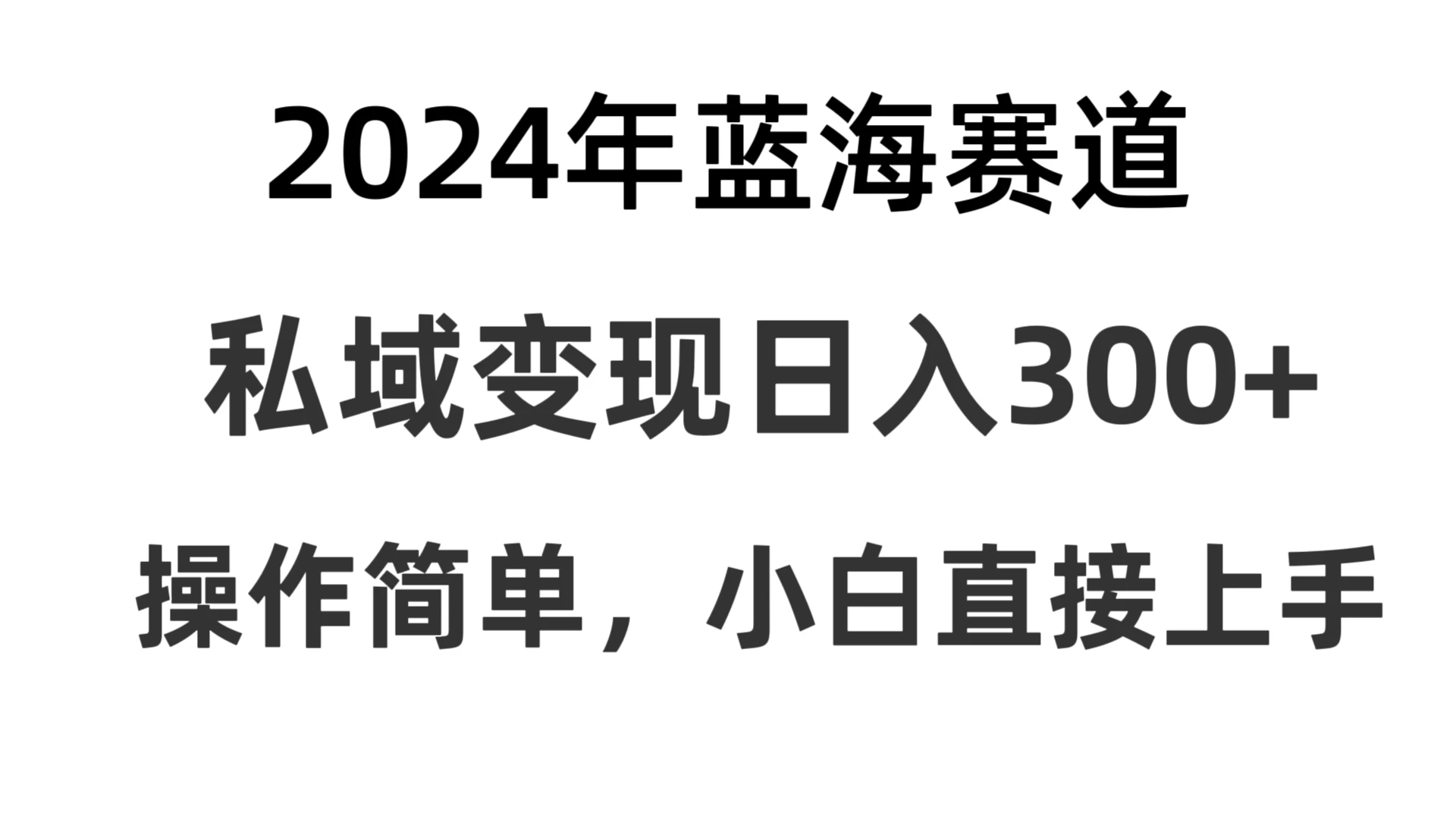 2024抖音蓝海赛道，私域变现日入300+，操作简单，每年只需一小时，纯小白可直接上手 - 项目资源网 - 项目资源网