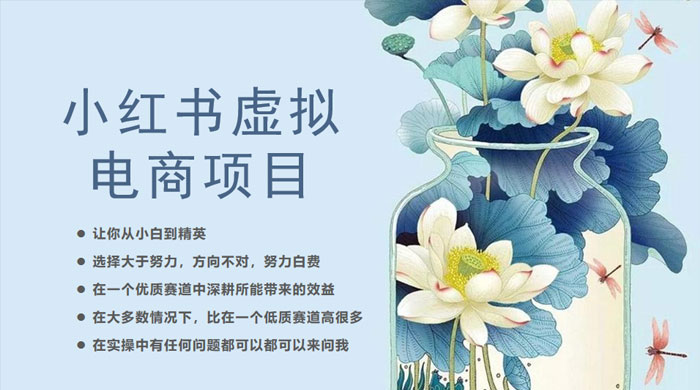 小红书虚拟电商从 0 到 1 ：让你从小白到精英（ 20 节实操课程） - 项目资源网 - 项目资源网