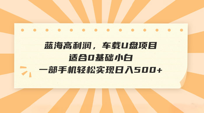 蓝海高利润，车载 U 盘项目，适合 0 基础小白 - 项目资源网 - 项目资源网
