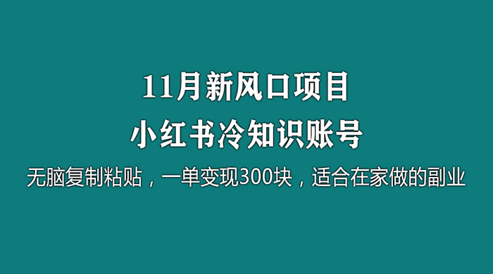 11 月新风口项目，小红书冷知识账号，无脑复制粘贴，一单变现 300 块，适合在家做的副业 - 项目资源网 - 项目资源网