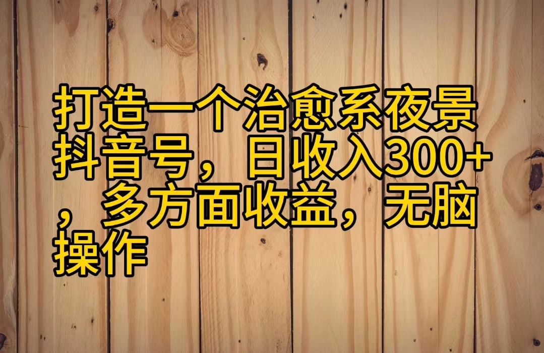 打造一个治愈系夜景抖音号，日收入300+，多方面收益，无脑操作 - 项目资源网 - 项目资源网