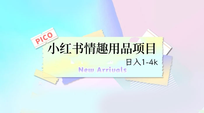 小红书情趣用品项目：详细教程，高转化收益快 - 项目资源网 - 项目资源网