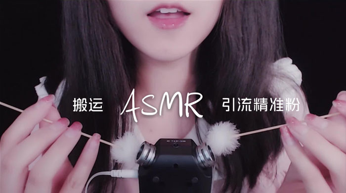 靠搬运 ASMR 视频，引流精准粉，私域单日变现 500+ - 项目资源网 - 项目资源网