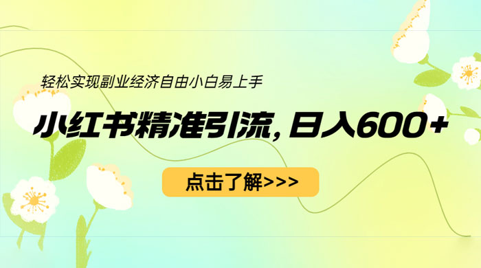 小红书精准引流：轻松实现副业经济自由（教程 + 1153G 资源） - 项目资源网 - 项目资源网