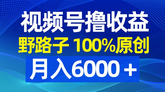 视频号野路子撸收益，100% 原创，条条爆款，月入 6000+ - 项目资源网 - 项目资源网