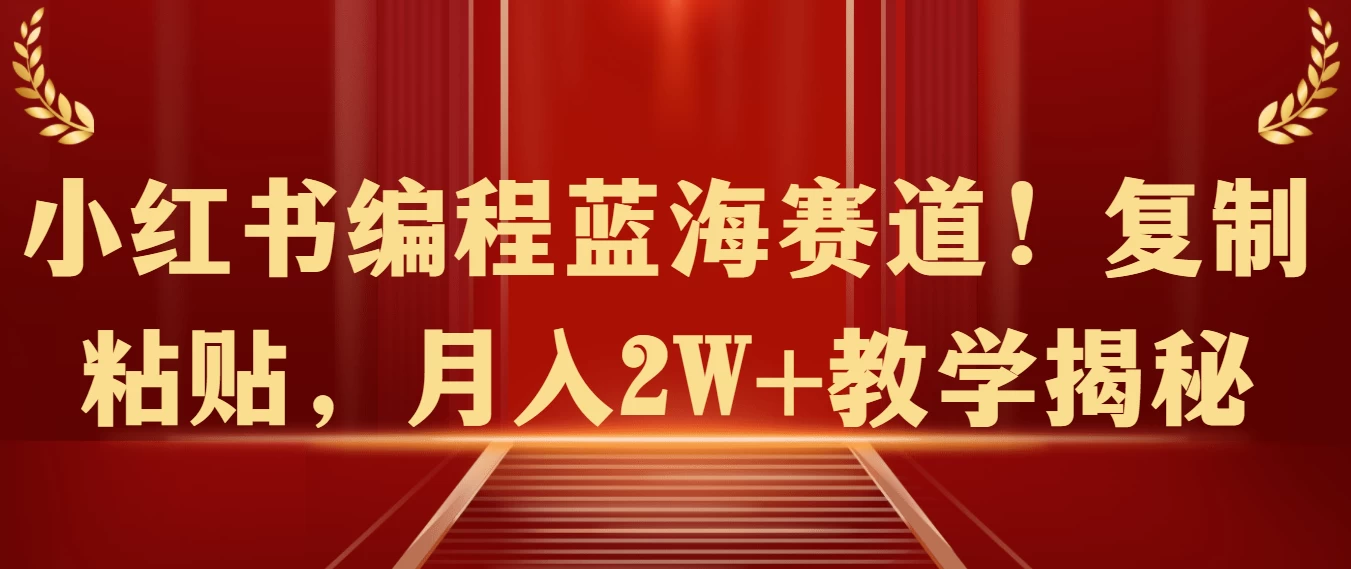 小红书编程蓝海赛道！复制粘贴，月入2W+教学揭秘 - 项目资源网 - 项目资源网