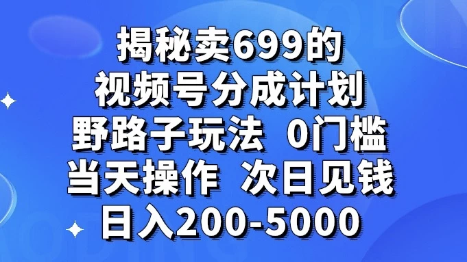 揭秘卖 699 的视频号分成计划野路子玩法，日入 200-5000，0 门槛，当天操作，次日见钱 - 项目资源网 - 项目资源网