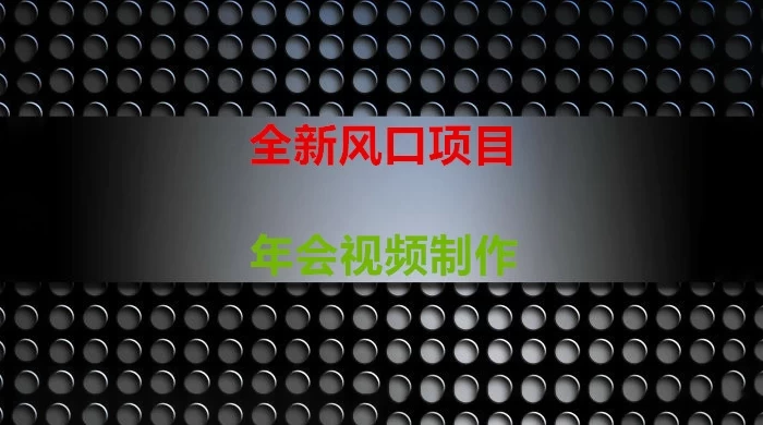 年会视频制作项目，全新风口 - 项目资源网 - 项目资源网
