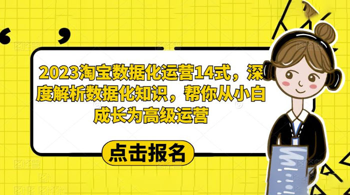 2023 淘宝数据化运营 14 式：深度解析数据化知识，帮你从小白成长为高级运营 - 项目资源网 - 项目资源网