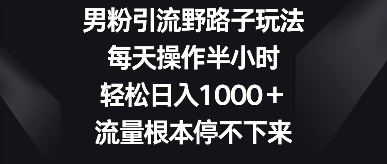 男粉引流野路子玩法，每天操作半小时轻松日入1000＋，流量根本停不下来 - 项目资源网 - 项目资源网
