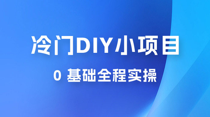 日入几百的冷门 DIY 小项目 0 基础全程实操 - 项目资源网 - 项目资源网