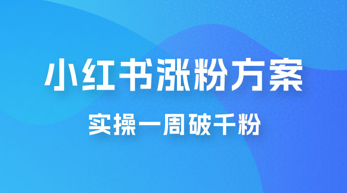 小红书爆款涨粉方案，实操一周破千粉，利用商单轻松变现，在家就能月入过万 - 项目资源网 - 项目资源网