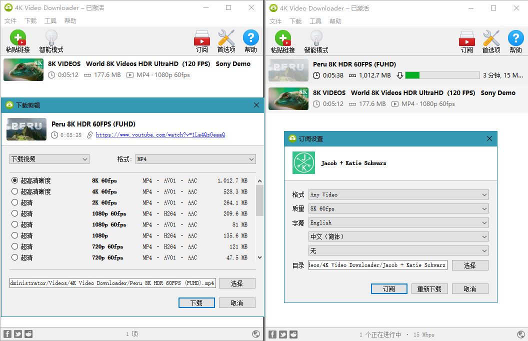 4K Video Downloader v4.19.4 Build 4720 - 项目资源网 - 项目资源网