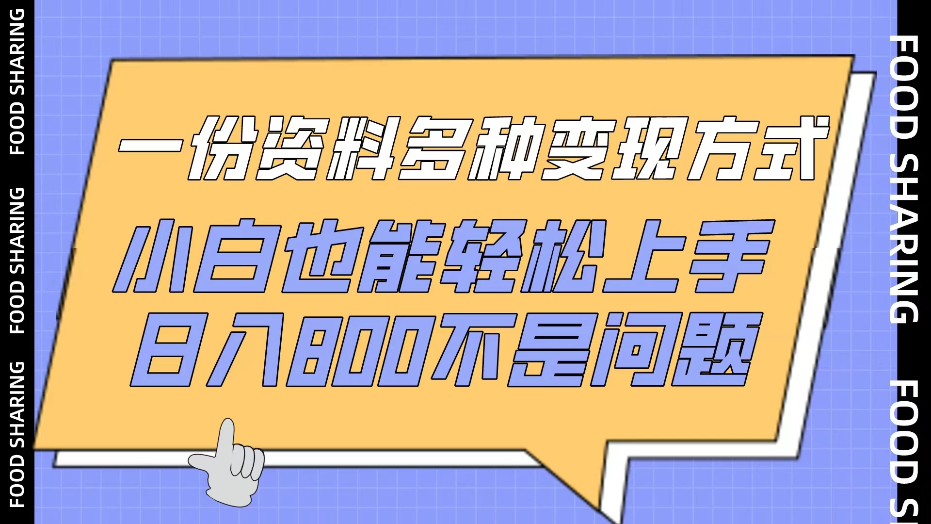 一份资料多种变现方式，小白也能轻松上手，日入800不是问题 - 项目资源网 - 项目资源网