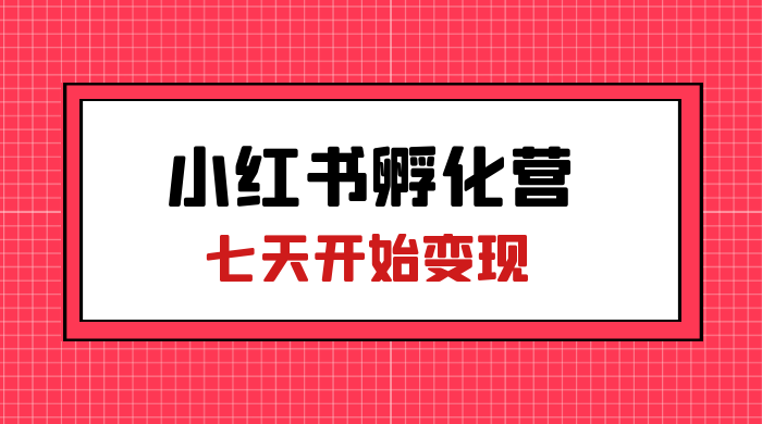 价值 2000+ 的小红书孵化营项目，超级大蓝海，七天即可开始变现，稳定月入 1W+ - 项目资源网 - 项目资源网
