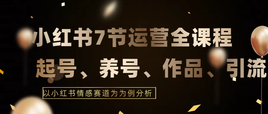 最新的7节小红书运营实战全教程，结合最新情感赛道，打通小红书运营全流程 - 项目资源网 - 项目资源网