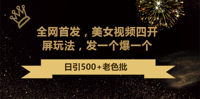 最新成人引流玩法，美女视频四开屏玩法，发一个爆一个，日引流500+精准 - 项目资源网 - 项目资源网