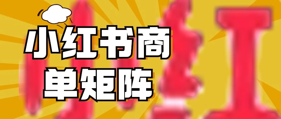 稳定长久项目，小红书商单3天涨千粉批量玩法，2分钟制作一条视频，轻松月入5000+ - 项目资源网 - 项目资源网