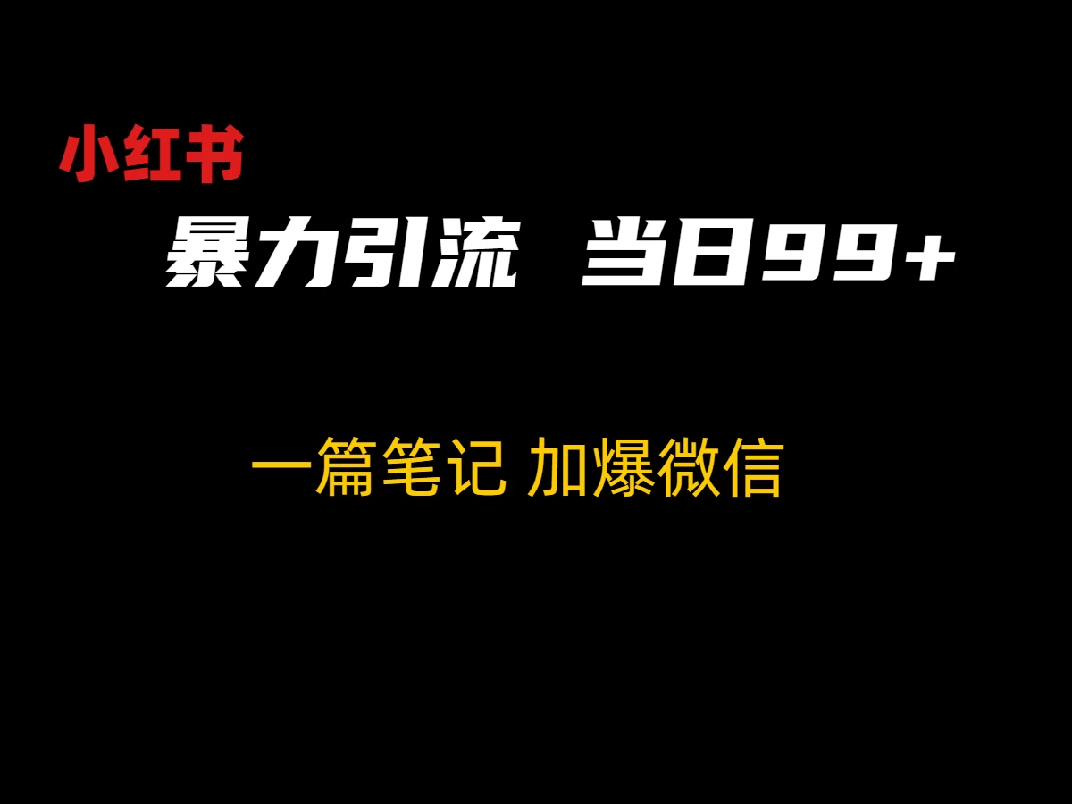 小红书暴力引流方法，当日99+，非常简单的引流方法 - 项目资源网 - 项目资源网