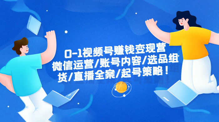视频号赚钱变现营：微信运营、账号内容、选品组货、直播全案、起号策略 - 项目资源网 - 项目资源网