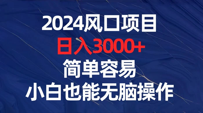 2024 风口项目，日入 3000+，简单容易，小白也能无脑操作 - 项目资源网 - 项目资源网