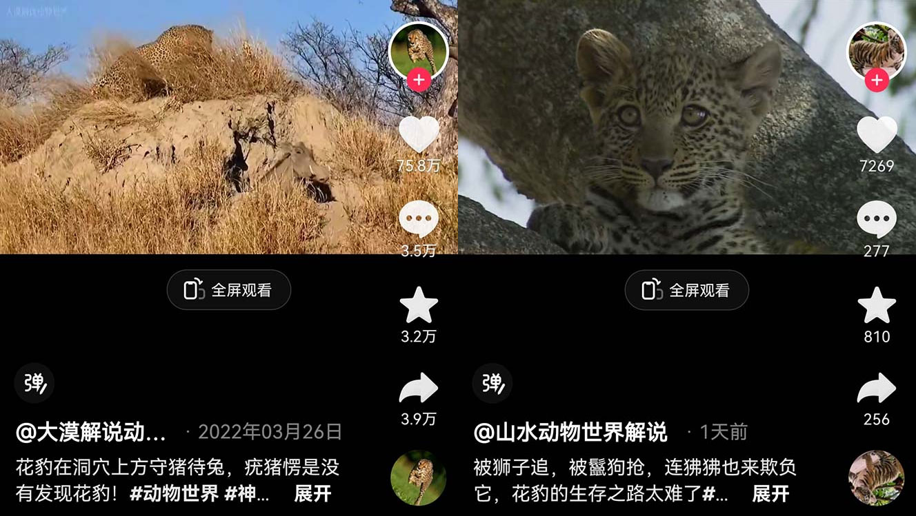 外面卖 1699 的国外纪录片解说：动物、美食、动画片解说，稳过中视频 - 项目资源网 - 项目资源网