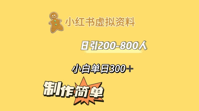 小红书虚拟资料日引 200-800 人，小白单日收益 300+ - 项目资源网 - 项目资源网